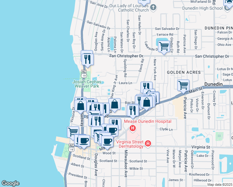 map of restaurants, bars, coffee shops, grocery stores, and more near 562 Shady Grove Drive in Dunedin
