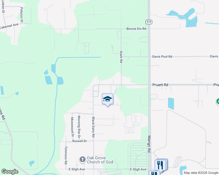 map of restaurants, bars, coffee shops, grocery stores, and more near 6502 Joe Luke Lane in Seffner