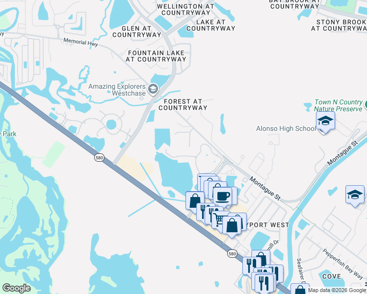 map of restaurants, bars, coffee shops, grocery stores, and more near 11336 Memorial Highway in Tampa