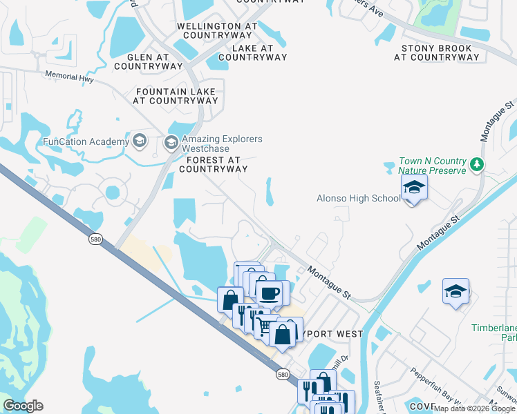 map of restaurants, bars, coffee shops, grocery stores, and more near 11403 Quiet Forest Drive in Tampa