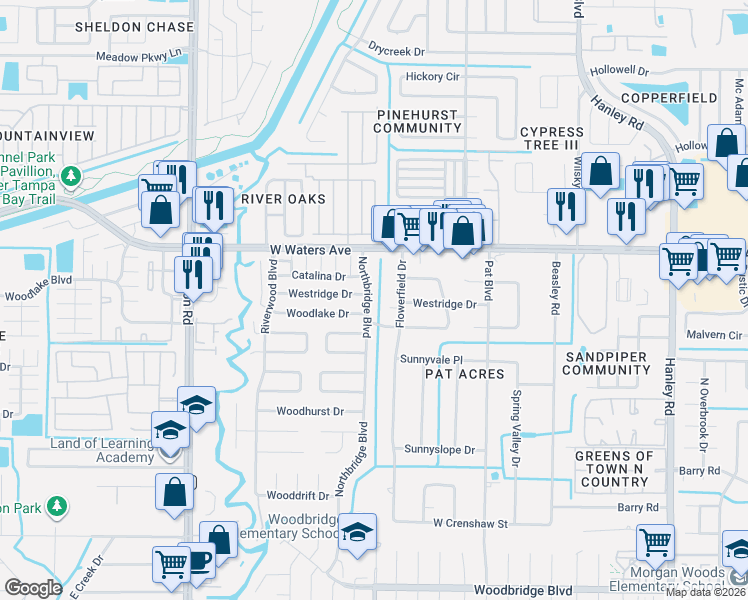 map of restaurants, bars, coffee shops, grocery stores, and more near 8313 Northbridge Boulevard in Tampa
