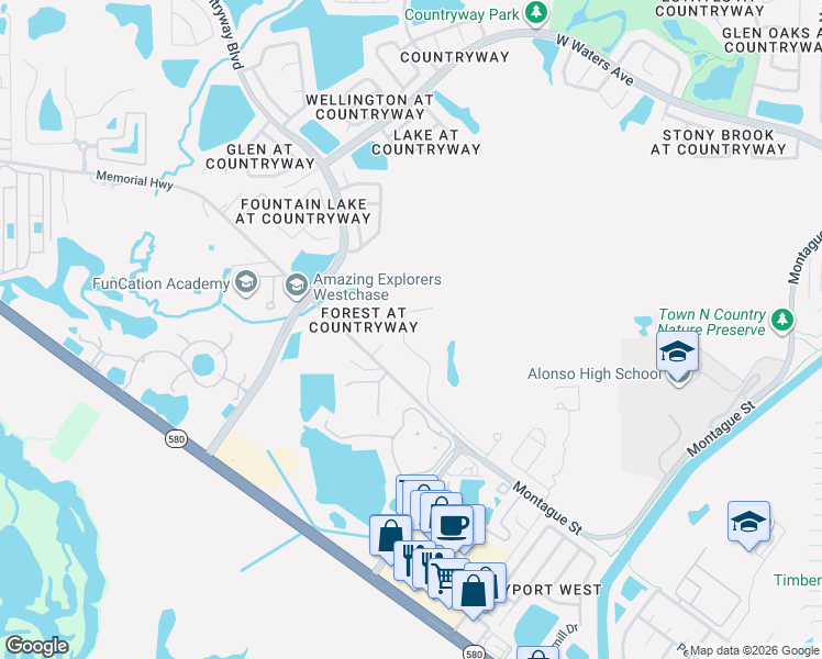 map of restaurants, bars, coffee shops, grocery stores, and more near 11522 Quiet Forest Drive in Tampa