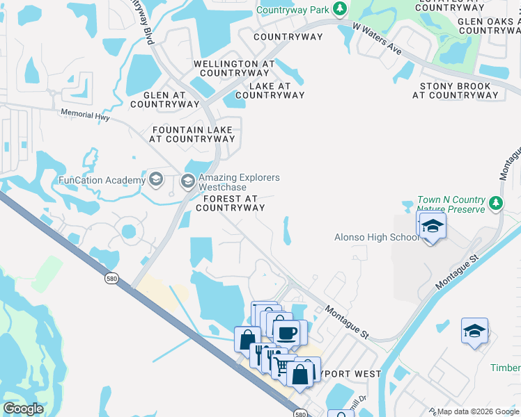 map of restaurants, bars, coffee shops, grocery stores, and more near 11522 Quiet Forest Drive in Tampa