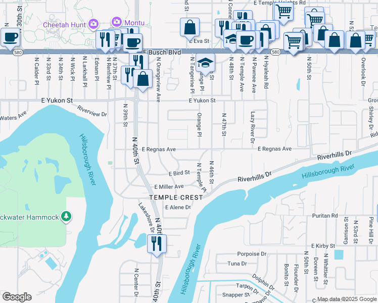 map of restaurants, bars, coffee shops, grocery stores, and more near 4326 East Grove View Avenue in Tampa