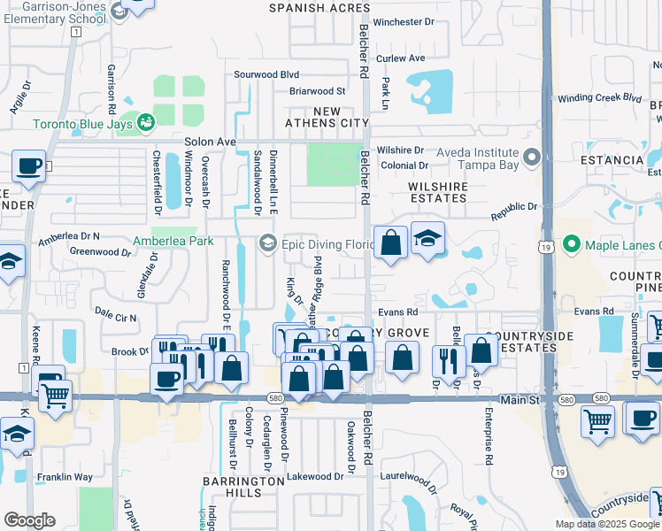 map of restaurants, bars, coffee shops, grocery stores, and more near 1501 Heather Ridge Boulevard in Dunedin