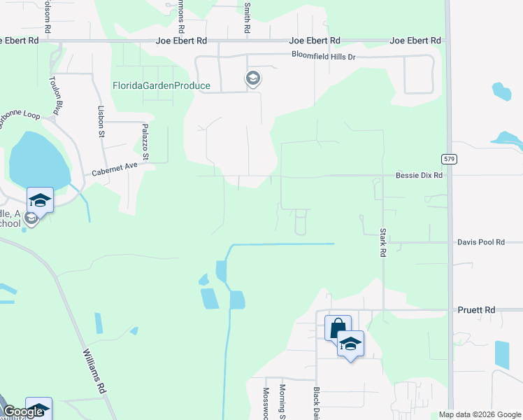 map of restaurants, bars, coffee shops, grocery stores, and more near 11119 Bessie Dix Road in Seffner
