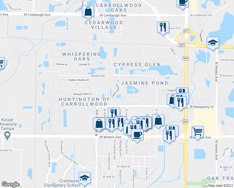 map of restaurants, bars, coffee shops, grocery stores, and more near 8647 Fancy Finch Drive in Tampa