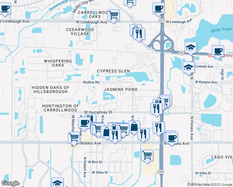 map of restaurants, bars, coffee shops, grocery stores, and more near 4007 Rosepointe Court in Tampa