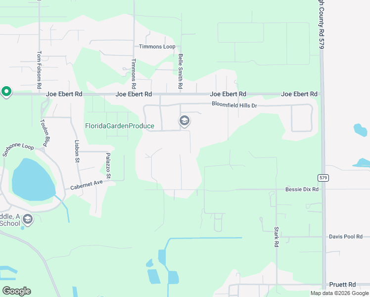map of restaurants, bars, coffee shops, grocery stores, and more near 10009 Bloomfield Hills Drive in Seffner