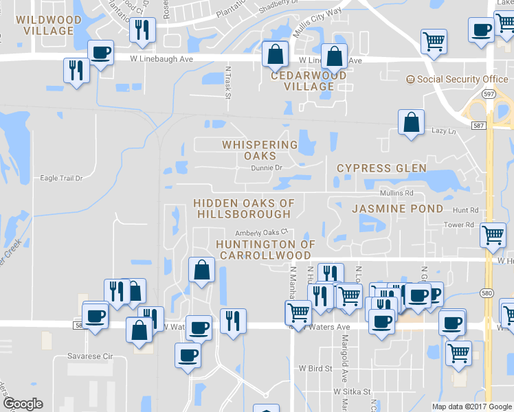 map of restaurants, bars, coffee shops, grocery stores, and more near 4504 Hidden Shadow Drive in Tampa