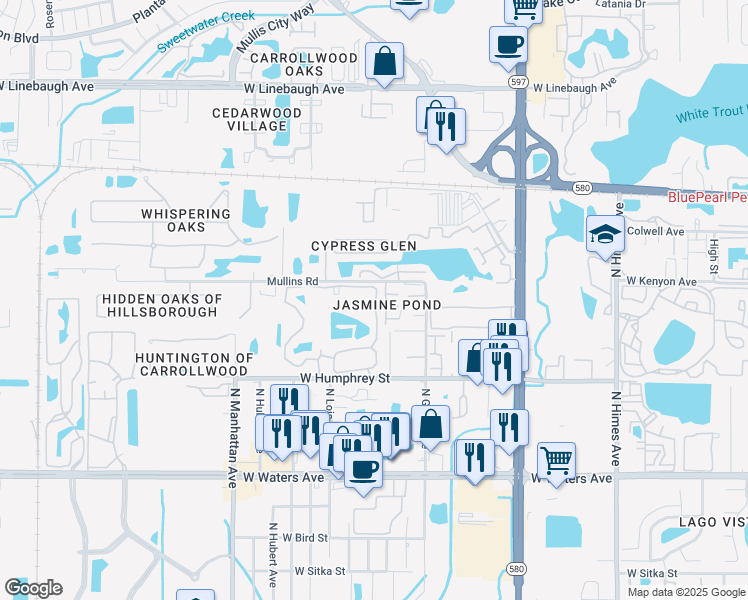 map of restaurants, bars, coffee shops, grocery stores, and more near 4007 Rosepointe Court in Tampa
