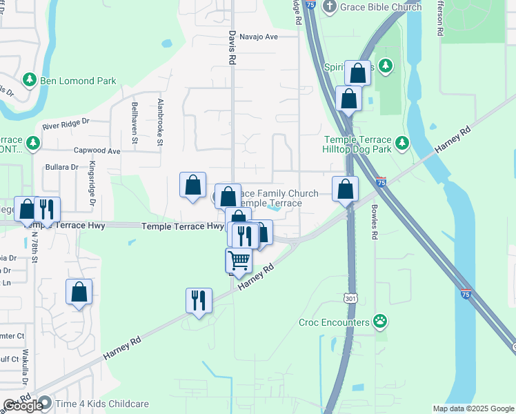 map of restaurants, bars, coffee shops, grocery stores, and more near 8733 Orange Leaf Court in Tampa