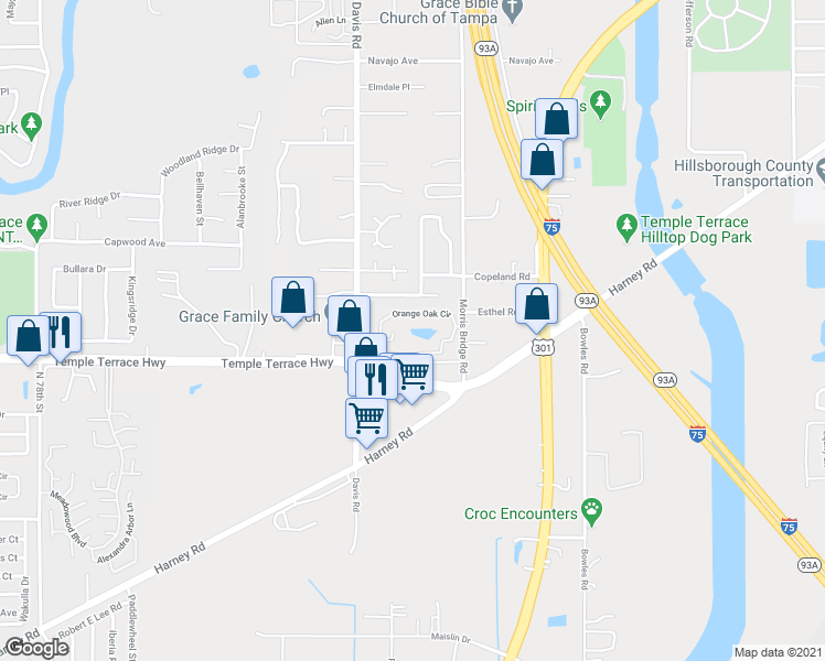 map of restaurants, bars, coffee shops, grocery stores, and more near 8733 Orange Leaf Court in Tampa