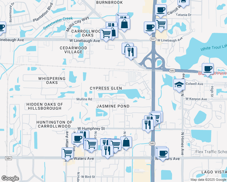 map of restaurants, bars, coffee shops, grocery stores, and more near 8829 Cypress Hammock Drive in Tampa