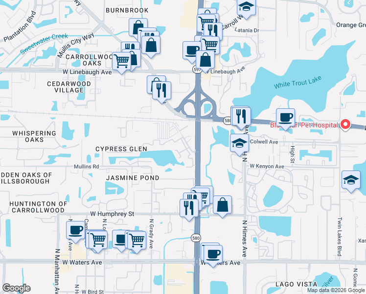 map of restaurants, bars, coffee shops, grocery stores, and more near 9113 Lazy Lane in Tampa