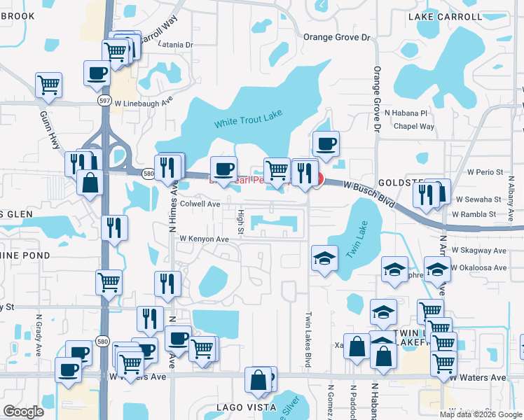 map of restaurants, bars, coffee shops, grocery stores, and more near 8767 White Swan Drive in Tampa
