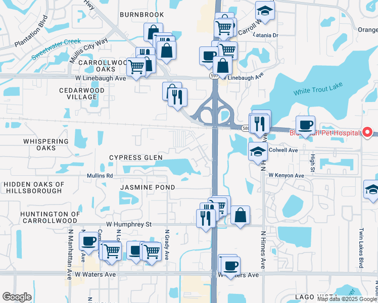 map of restaurants, bars, coffee shops, grocery stores, and more near 9116 Lazy Lane in Tampa