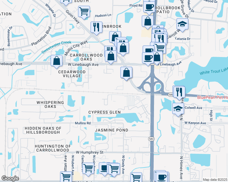 map of restaurants, bars, coffee shops, grocery stores, and more near 9426 Lazy Lane in Tampa