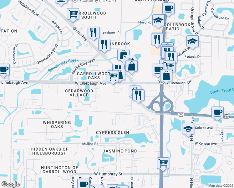 map of restaurants, bars, coffee shops, grocery stores, and more near 4102 McTavish Place in Greater Carrollwood