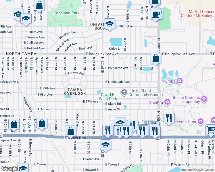 map of restaurants, bars, coffee shops, grocery stores, and more near 2212 East 99th Avenue in Tampa