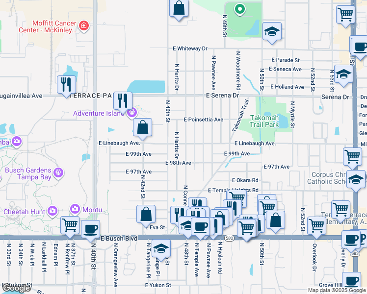 map of restaurants, bars, coffee shops, grocery stores, and more near 4611 East Linebaugh Avenue in Tampa