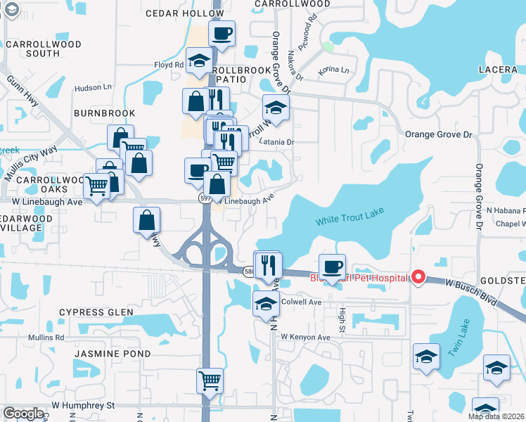map of restaurants, bars, coffee shops, grocery stores, and more near 9910 Lone Tree Lane in Tampa
