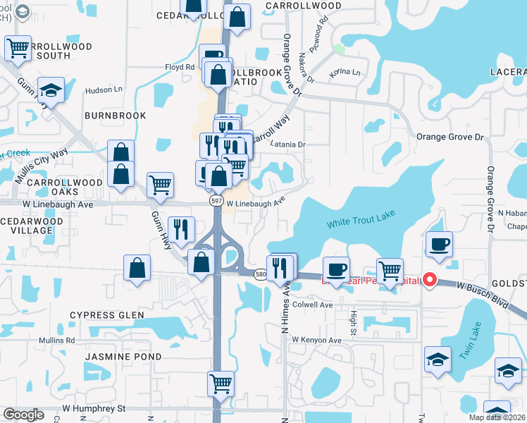 map of restaurants, bars, coffee shops, grocery stores, and more near 9910 Lone Tree Lane in Tampa