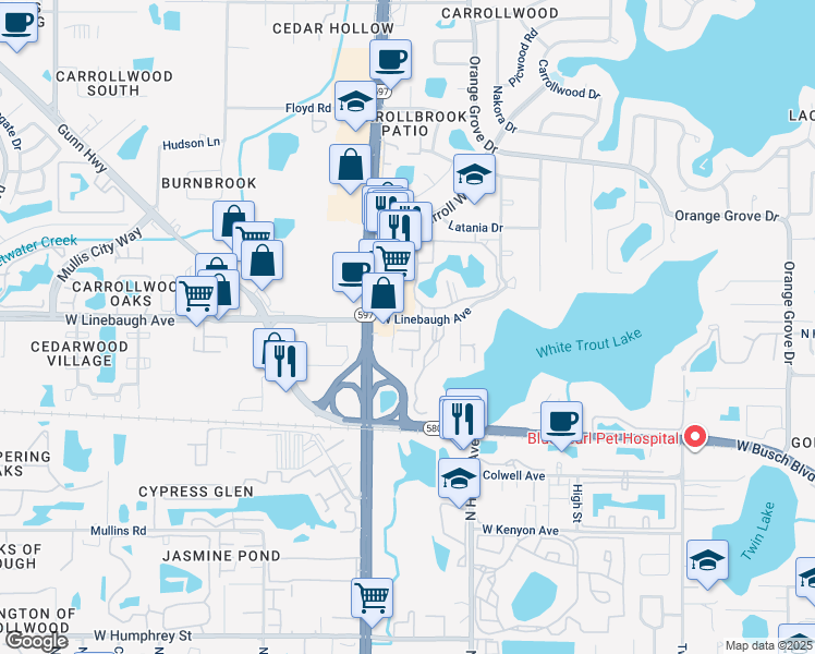 map of restaurants, bars, coffee shops, grocery stores, and more near 3709 Greenery Court in Tampa