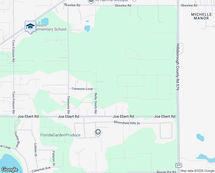 map of restaurants, bars, coffee shops, grocery stores, and more near 9903 Belle Smith Road in Thonotosassa