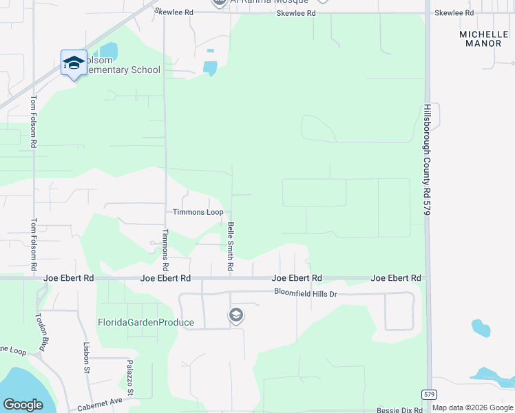 map of restaurants, bars, coffee shops, grocery stores, and more near 9903 Belle Smith Road in Thonotosassa