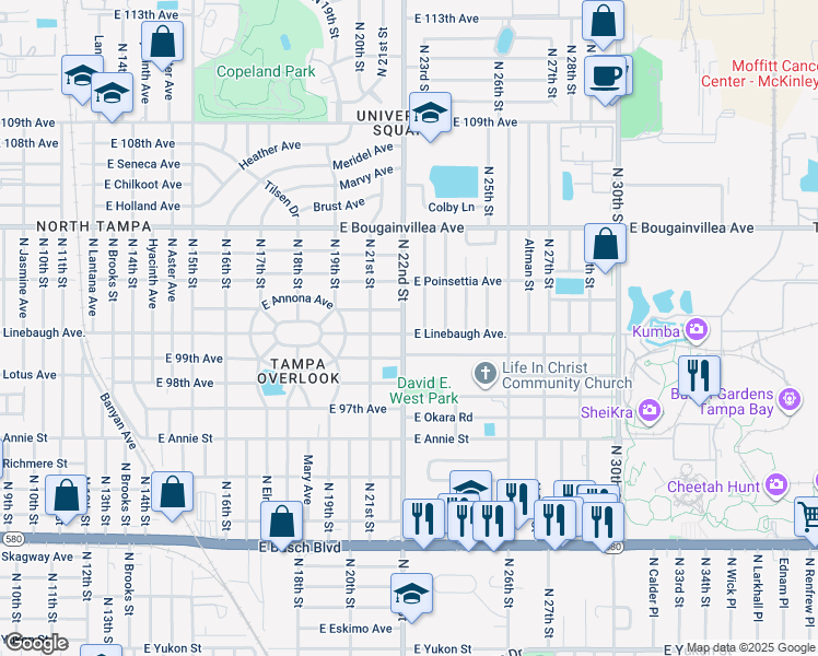 map of restaurants, bars, coffee shops, grocery stores, and more near 2212 East 99th Avenue in Tampa