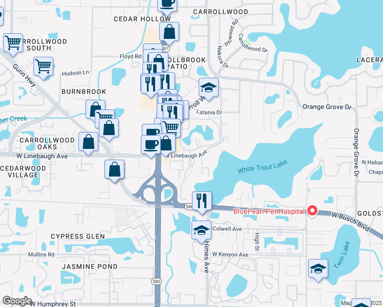 map of restaurants, bars, coffee shops, grocery stores, and more near 10356 Carrollwood Lane in Tampa
