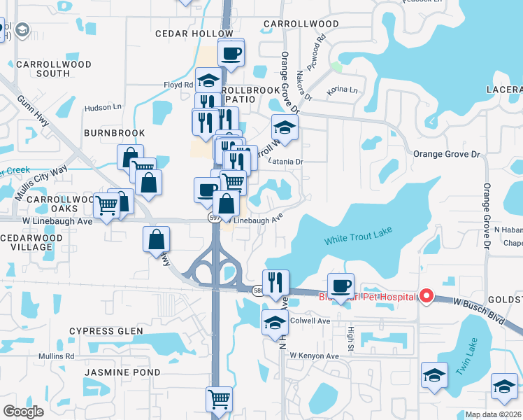 map of restaurants, bars, coffee shops, grocery stores, and more near 10356 Carrollwood Lane in Tampa