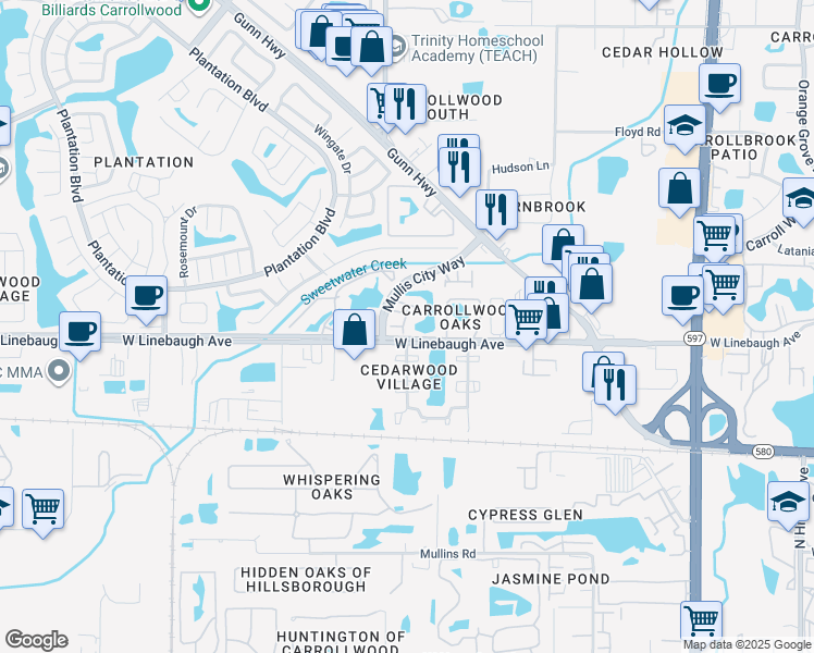 map of restaurants, bars, coffee shops, grocery stores, and more near 4311 Deermont Circle in Tampa