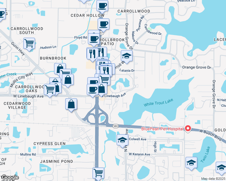 map of restaurants, bars, coffee shops, grocery stores, and more near 10327 Carrollwood Lane in Tampa