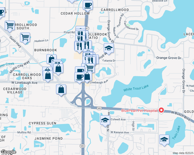 map of restaurants, bars, coffee shops, grocery stores, and more near 10327 Carrollwood Lane in Tampa