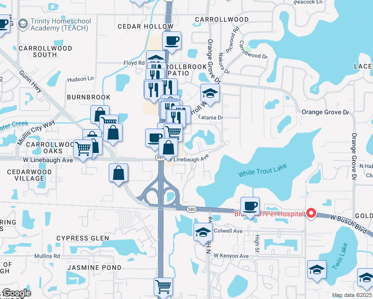 map of restaurants, bars, coffee shops, grocery stores, and more near 10327 Carrollwood Lane in Tampa