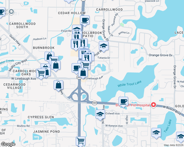 map of restaurants, bars, coffee shops, grocery stores, and more near 10327 Carrollwood Lane in Tampa