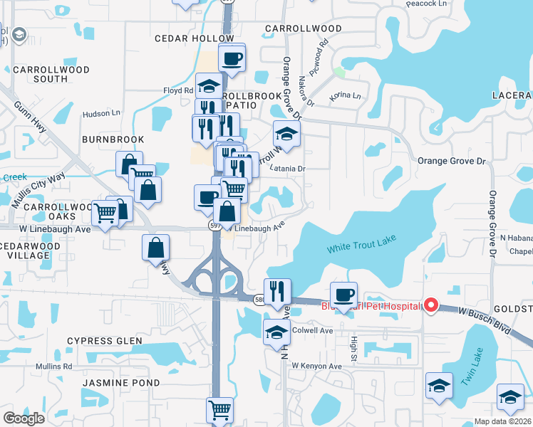 map of restaurants, bars, coffee shops, grocery stores, and more near 10356 Carrollwood Lane in Tampa