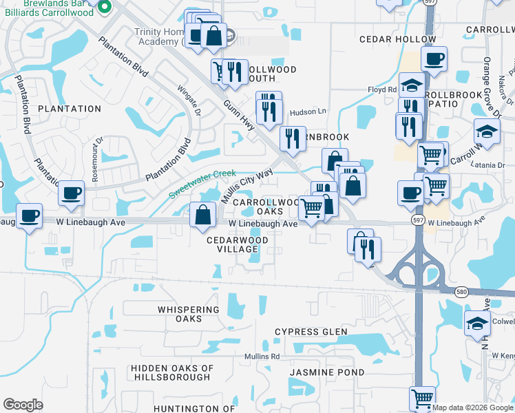 map of restaurants, bars, coffee shops, grocery stores, and more near 10121 Lake Oak Circle in Tampa