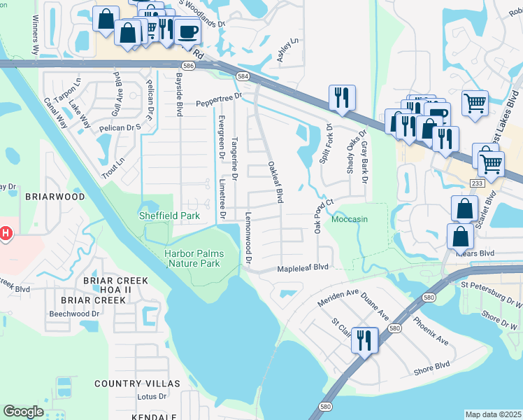 map of restaurants, bars, coffee shops, grocery stores, and more near 1819 Forest Drive in Oldsmar