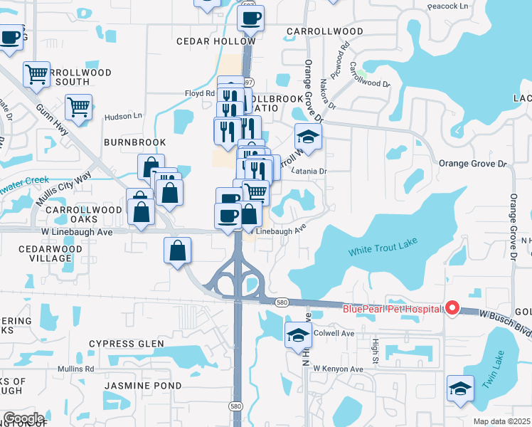 map of restaurants, bars, coffee shops, grocery stores, and more near 10327 Carrollwood Lane in Tampa