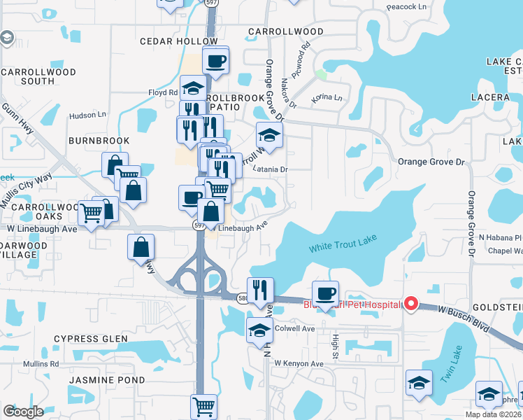 map of restaurants, bars, coffee shops, grocery stores, and more near 10356 Carrollwood Lane in Tampa