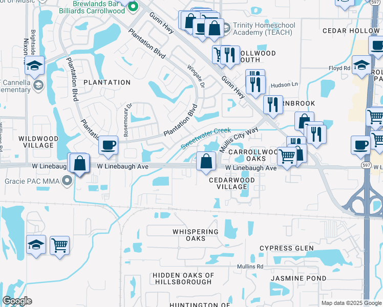 map of restaurants, bars, coffee shops, grocery stores, and more near 10020 Strafford Oak Court in Tampa
