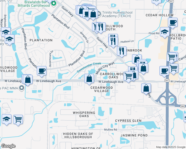 map of restaurants, bars, coffee shops, grocery stores, and more near 4115 Chatham Oak Court in Tampa