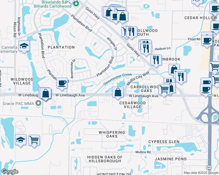 map of restaurants, bars, coffee shops, grocery stores, and more near 10028 Strafford Oak Court in Tampa