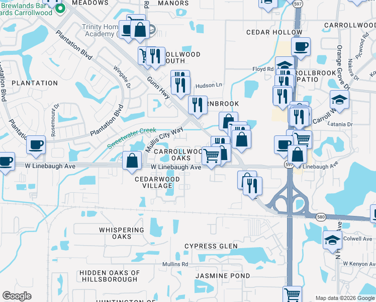 map of restaurants, bars, coffee shops, grocery stores, and more near 10016 Lake Oak Circle in Tampa