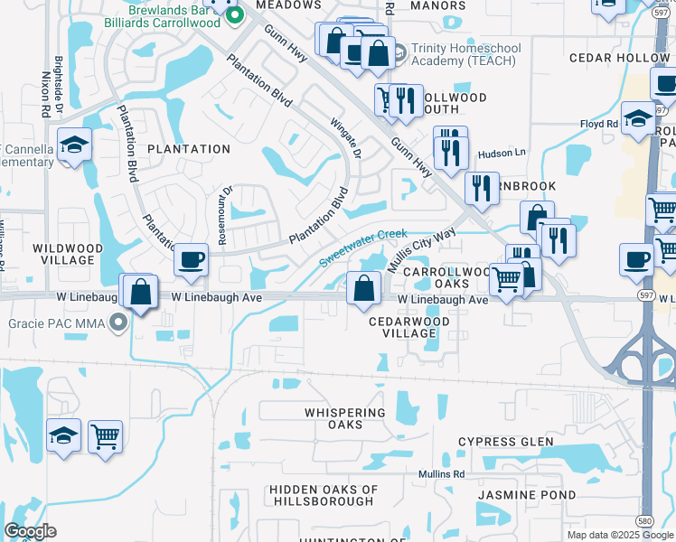 map of restaurants, bars, coffee shops, grocery stores, and more near 10024 Strafford Oak Court in Tampa