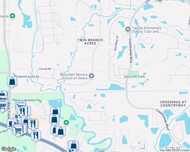 map of restaurants, bars, coffee shops, grocery stores, and more near 12415 Bristol Commons Circle in Tampa