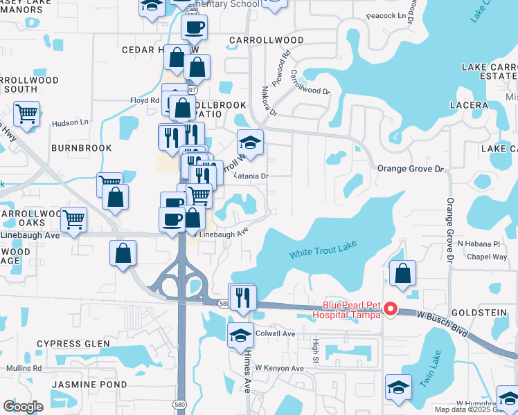 map of restaurants, bars, coffee shops, grocery stores, and more near 10366 Carrollwood Lane in Tampa